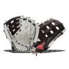 Cheapest ❤️ Easton Tournament Elite 14" Slow Pitch Softball Glove: TESP14 Black, Red, White 🎉