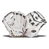 Budget 🥰 Rawlings Liberty Advanced 11.75" Fastpitch Softball Glove: RLA715-2WB Black, White ✔️